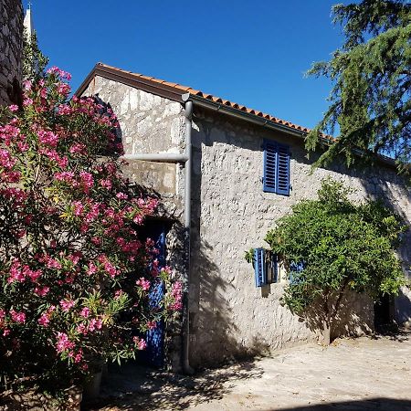 The Istrian Villa Vrsar Eksteriør billede
